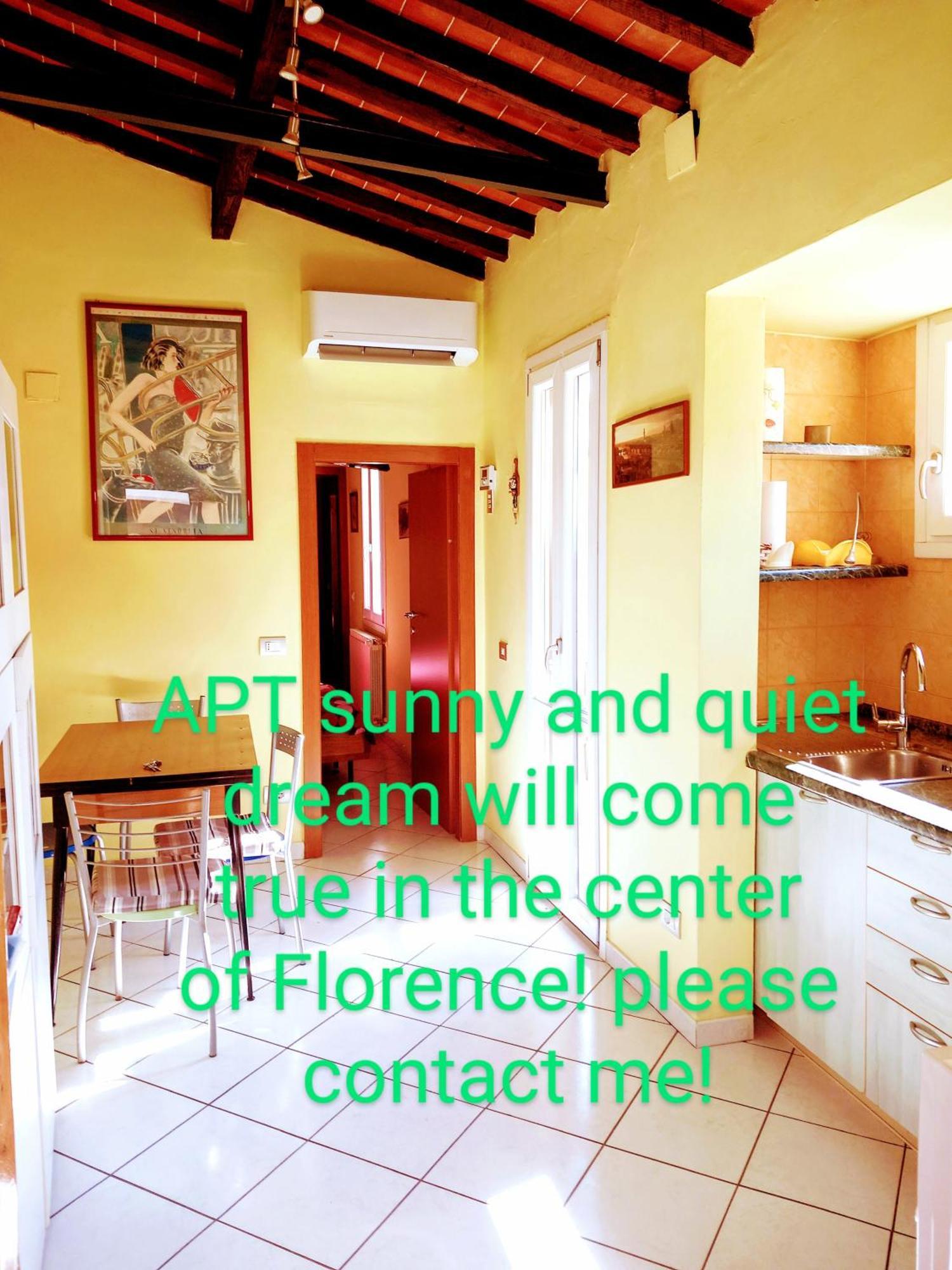 Apt Bright, Quiet! In The Center. Firenze Eksteriør bilde